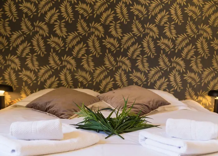 Le Grand Appartement D\'Albusse