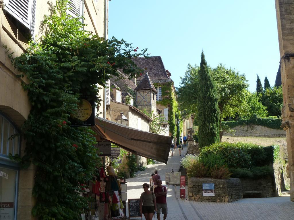 Le Grand D'albusse *